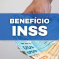 Novo lote do INSS será liberado em breve; confira calendário com as datas