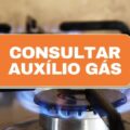 Auxílio Gás: saiba como consultar o benefício pelo seu CPF