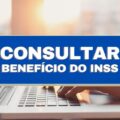 INSS: saiba como consultar o novo valor do benefício pelo CPF