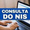 NIS: o que é e como consultar seu Número de Identificação Social