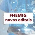 Fhemig – MG: três editais com ganhos de até R$ 6,3 mil