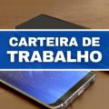 Quem pode ter a Carteira de Trabalho Digital? Veja como emitir