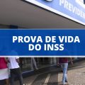 Prova de vida do INSS: saiba o que muda aos segurados a partir de 2023