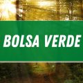 Bolsa Verde poderá ter parcelas mensais de um salário mínimo