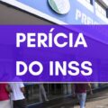 BPC: Câmara aprova dispensa de perícia médica periódica