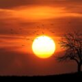 Pôr-do-sol ou pôr do sol? Nunca mais erre a forma de escrever