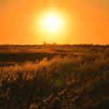 Qual foi a maior temperatura registrada no Brasil em 2023?