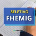 FHEMIG – MG lança mais um edital de processo seletivo