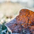 Quer ver neve? Confira 5 lugares no Brasil onde isso é realidade