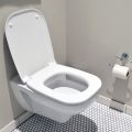8 coisas que você não pode descartar no vaso sanitário