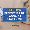 Prefeitura de Lagoa da Prata – MG abre vagas em seletivo