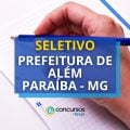 Prefeitura de Além Paraíba – MG lança edital de processo seletivo