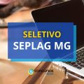 SEPLAG MG oferece até R$ 5,1 mil em seletivo; edital retificado