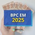 Novo valor do BPC está previsto para 2025; veja qual é