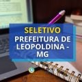 Prefeitura de Leopoldina – MG divulga 2 editais de seletivo