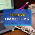 CIMMESF – MG abre vagas em seletivo; até R$ 5,9 mil