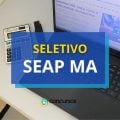 SEAP MA anuncia 2 editais de processo seletivo simplificado
