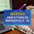Prefeitura Brunópolis – SC paga R$ 4,5 mil em seletivo