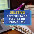 Prefeitura de Estrela do Indaiá – MG lança seletivo