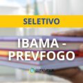 Prevfogo (Ibama): edital de seletivo oferece R$ 6,6 mil mensais