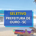 Prefeitura de Ouro – SC paga até R$ 23 mil em seletivo