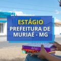 Prefeitura de Muriaé – MG divulga edital de estágio
