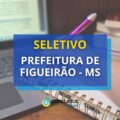 Prefeitura de Figueirão – MS divulga edital de processo seletivo