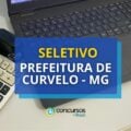 Prefeitura de Curvelo – MG lança seletivo na área da educação