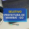 Prefeitura de Mambaí – GO abre mais de 180 vagas em seletivo