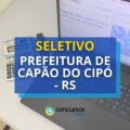 Prefeitura de Capão do Cipó – RS: seletivo para Veterinário aberto