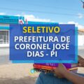 Prefeitura de Coronel José Dias – PI prevê R$ 8 mil em seletivo