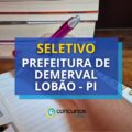 Prefeitura de Demerval Lobão – PI abre 140 vagas em seletivo