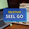 SEEL GO oferece até R$ 10,8 mil em novo edital de seletivo