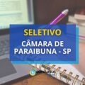 Câmara de Paraibuna – SP lança seletivo na área jurídica