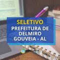 Prefeitura de Delmiro Gouveia – AL lança edital de seletivo