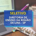 Diretoria de Ensino da Região de Lins – SP abre processo seletivo