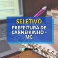 Prefeitura de Carneirinho – MG remunera até R$ 6,2 mil em seletivo