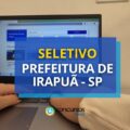 Prefeitura de Irapuã – SP abre vagas em edital de seletivo