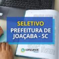 Prefeitura de Joaçaba – SC paga até R$ 24,2 mil em seletivo