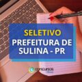 Prefeitura de Sulina – PR anuncia edital de processo seletivo