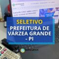Prefeitura de Várzea Grande – PI abre novo edital de seletivo
